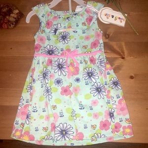 Baby Girl MulitColor Flower Dress w/Panties (24m)